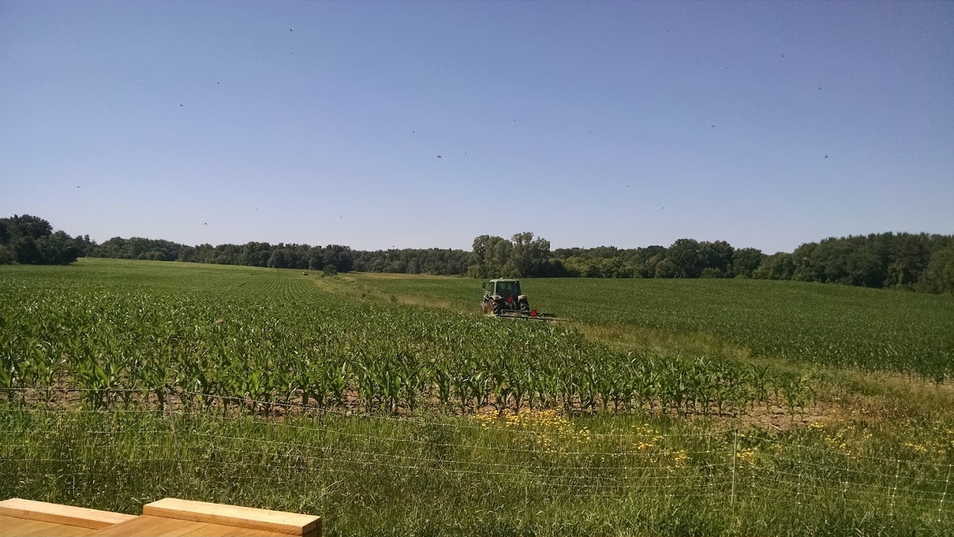 farmland